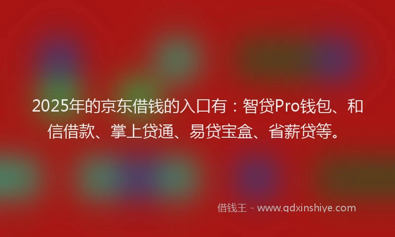 2025年的京东借钱的入口有：智贷Pro钱包、和信借款、掌上贷通、易贷宝盒、省薪贷等。