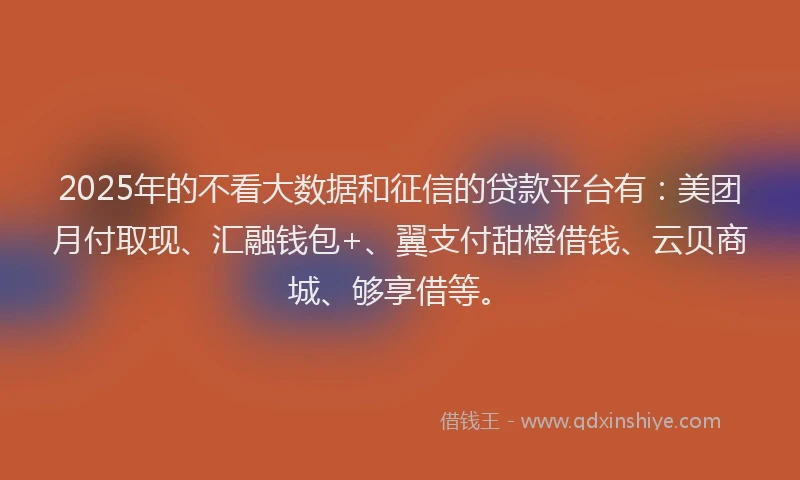 2025年的不看大数据和征信的贷款平台有：美团月付取现、汇融钱包+、翼支付甜橙借钱、云贝商城、够享借等。