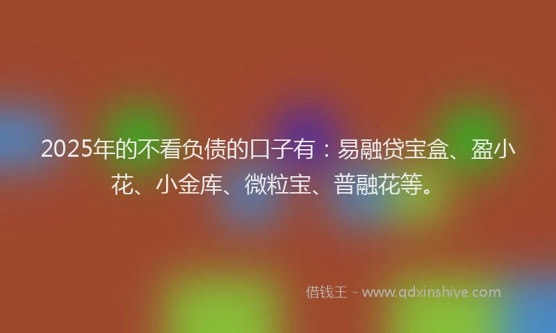 2025年的不看负债的口子有：易融贷宝盒、盈小花、小金库、微粒宝、普融花等。