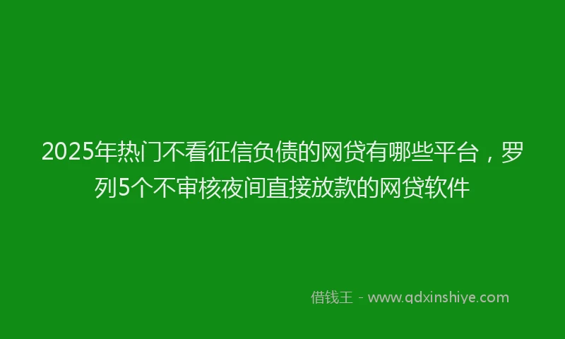 2025年热门不看征信负债的网贷有哪些平台，罗列5个不审核夜间直接放款的网贷软件