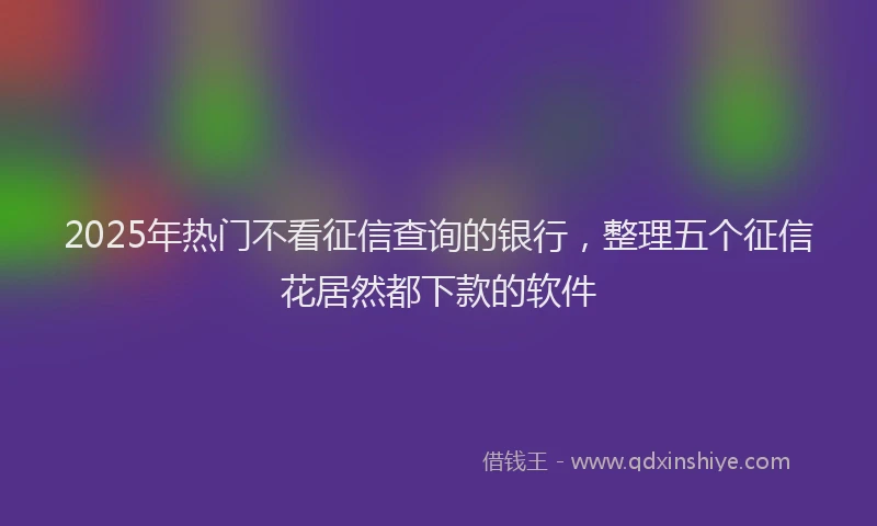 2025年热门不看征信查询的银行，整理五个征信花居然都下款的软件