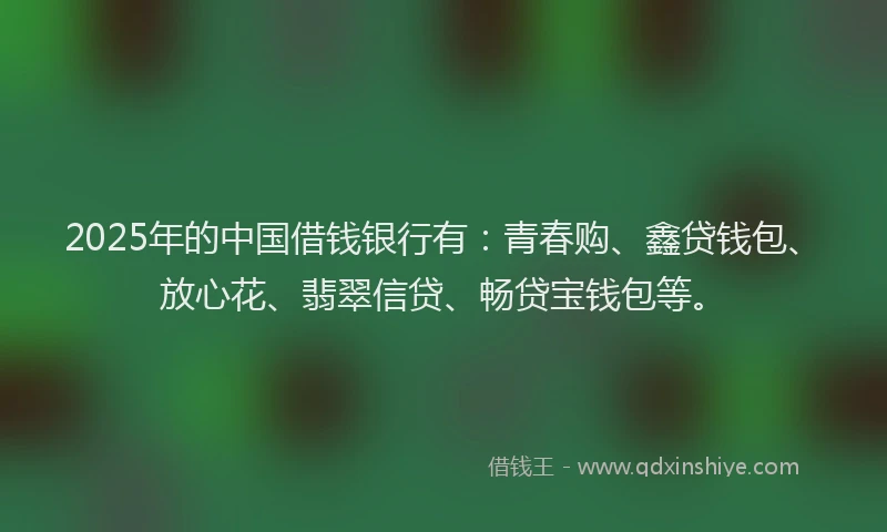 2025年的中国借钱银行有：青春购、鑫贷钱包、放心花、翡翠信贷、畅贷宝钱包等。