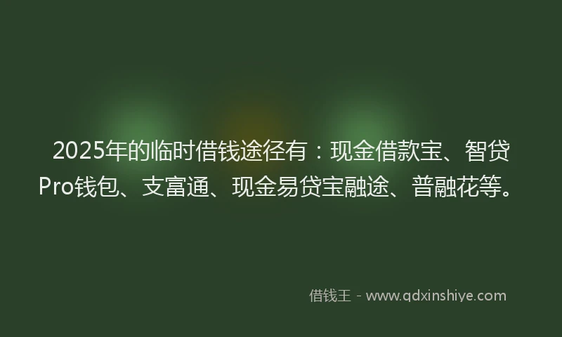 2025年的临时借钱途径有：现金借款宝、智贷Pro钱包、支富通、现金易贷宝融途、普融花等。