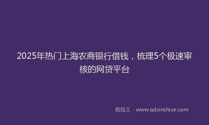 2025年热门上海农商银行借钱，梳理5个极速审核的网贷平台