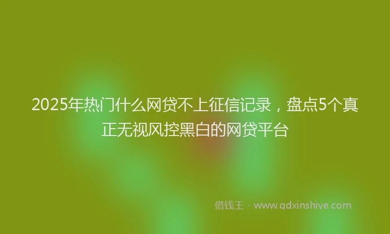2025年热门什么网贷不上征信记录，盘点5个真正无视风控黑白的网贷平台