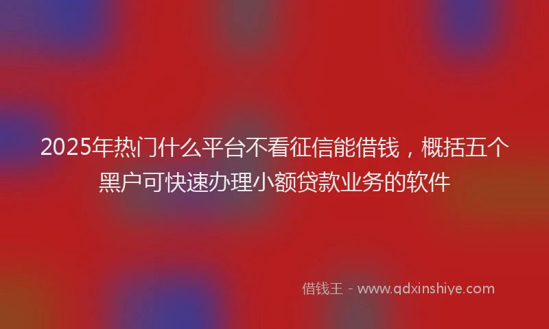 2025年热门什么平台不看征信能借钱，概括五个黑户可快速办理小额贷款业务的软件