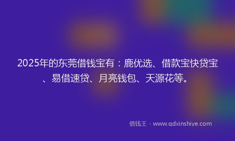 2025年的东莞借钱宝有：鹿优选、借款宝快贷宝、易借速贷、月亮钱包、天源花等。