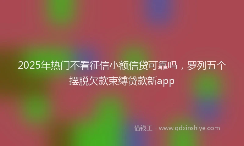 2025年热门不看征信小额信贷可靠吗，罗列五个摆脱欠款束缚贷款新app