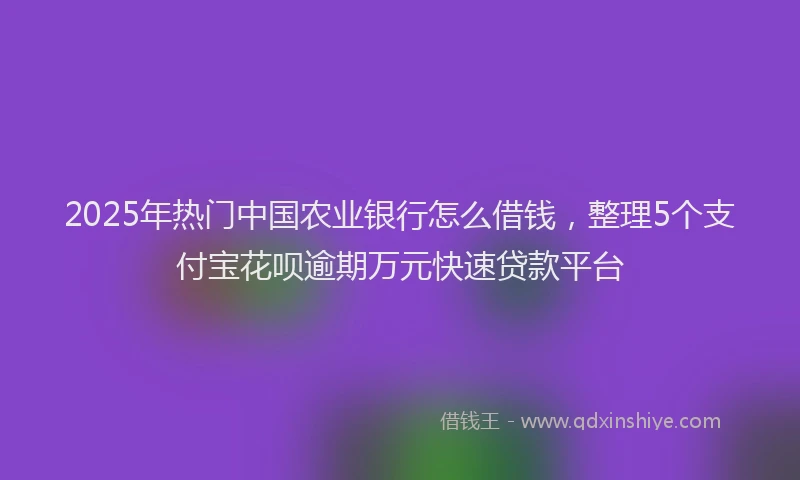 2025年热门中国农业银行怎么借钱，整理5个支付宝花呗逾期万元快速贷款平台