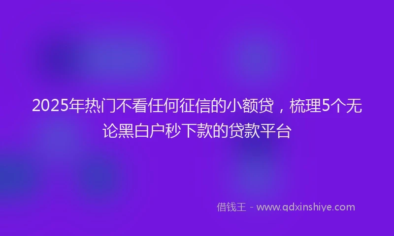 2025年热门不看任何征信的小额贷，梳理5个无论黑白户秒下款的贷款平台