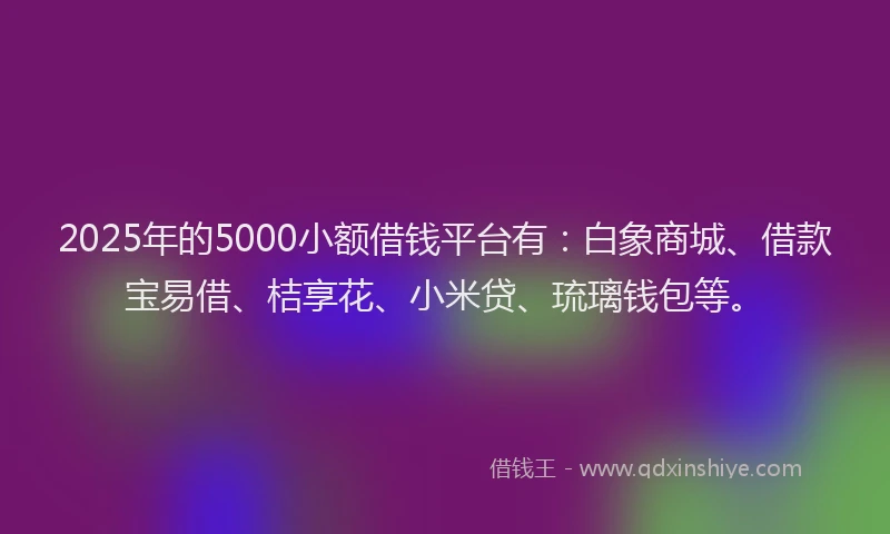 2025年的5000小额借钱平台有：白象商城、借款宝易借、桔享花、小米贷、琉璃钱包等。