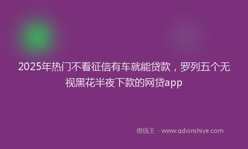 2025年热门不看征信有车就能贷款，罗列五个无视黑花半夜下款的网贷app