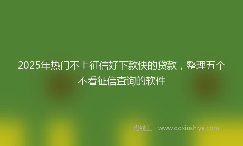 2025年热门不上征信好下款快的贷款，整理五个不看征信查询的软件