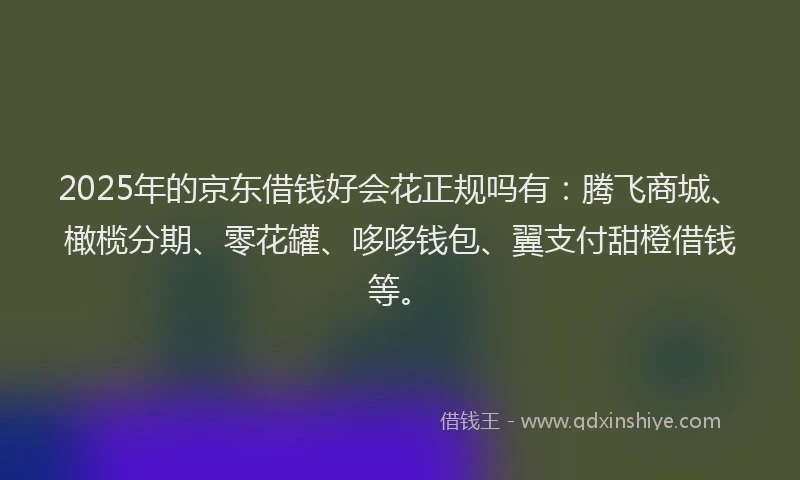 2025年的京东借钱好会花正规吗有：腾飞商城、橄榄分期、零花罐、哆哆钱包、翼支付甜橙借钱等。