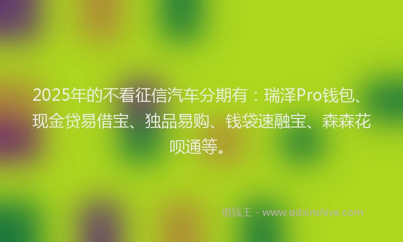 2025年的不看征信汽车分期有：瑞泽Pro钱包、现金贷易借宝、独品易购、钱袋速融宝、森森花呗通等。
