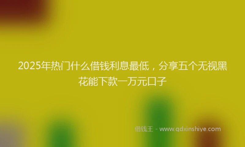 2025年热门什么借钱利息最低，分享五个无视黑花能下款一万元口子