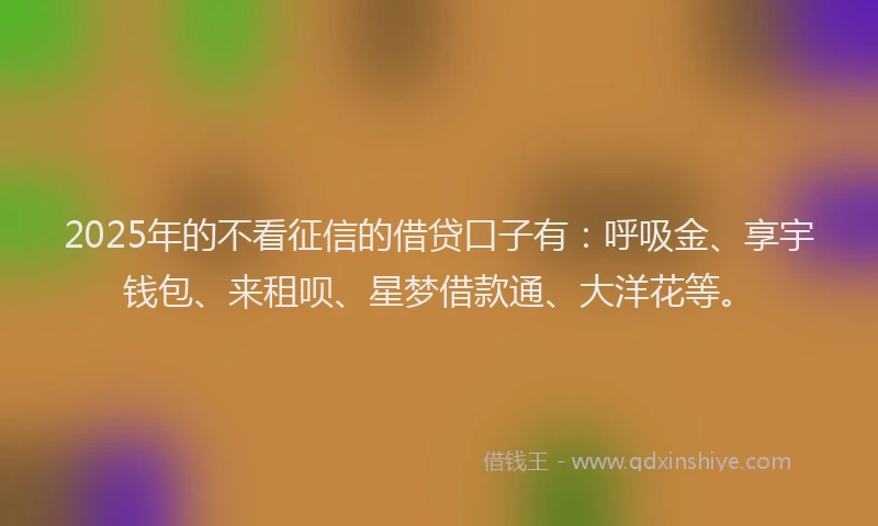 2025年的不看征信的借贷口子有：呼吸金、享宇钱包、来租呗、星梦借款通、大洋花等。