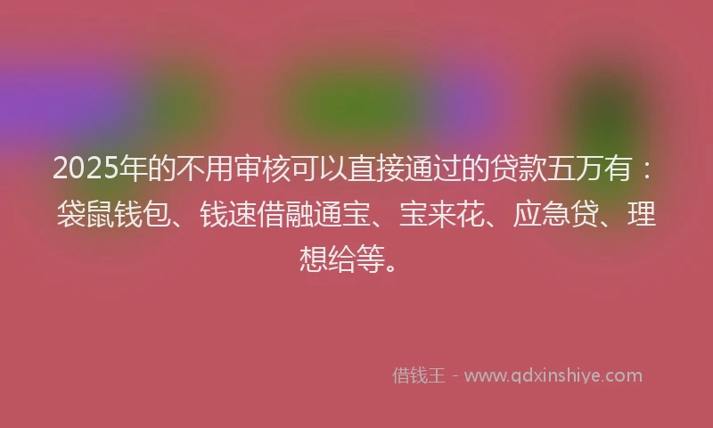 2025年的不用审核可以直接通过的贷款五万有：袋鼠钱包、钱速借融通宝、宝来花、应急贷、理想给等。
