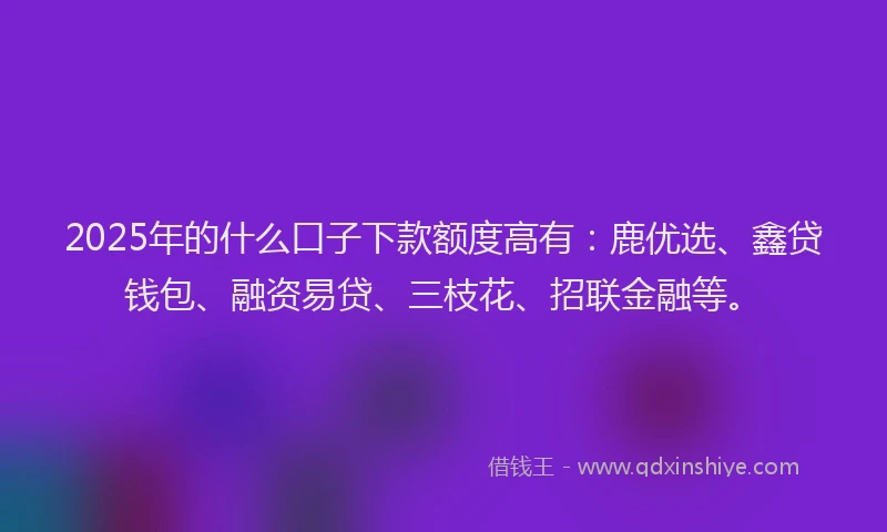 2025年的什么口子下款额度高有：鹿优选、鑫贷钱包、融资易贷、三枝花、招联金融等。