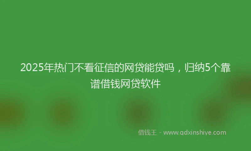 2025年热门不看征信的网贷能贷吗，归纳5个靠谱借钱网贷软件