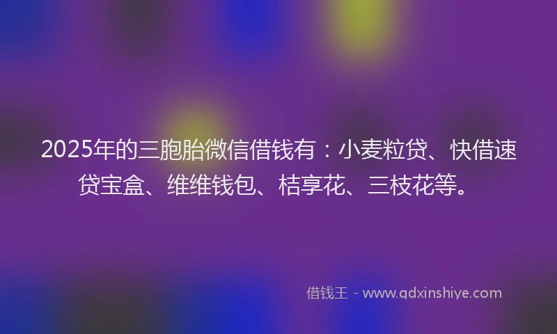2025年的三胞胎微信借钱有：小麦粒贷、快借速贷宝盒、维维钱包、桔享花、三枝花等。