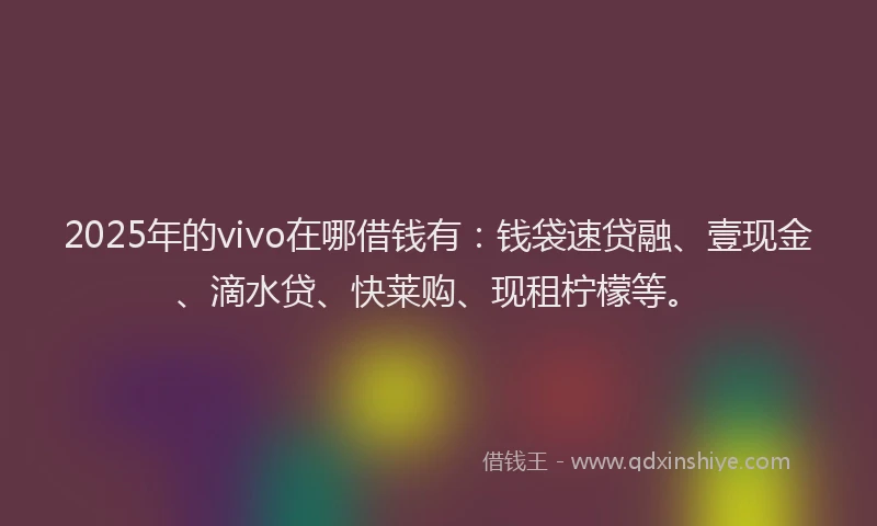 2025年的vivo在哪借钱有：钱袋速贷融、壹现金、滴水贷、快莱购、现租柠檬等。