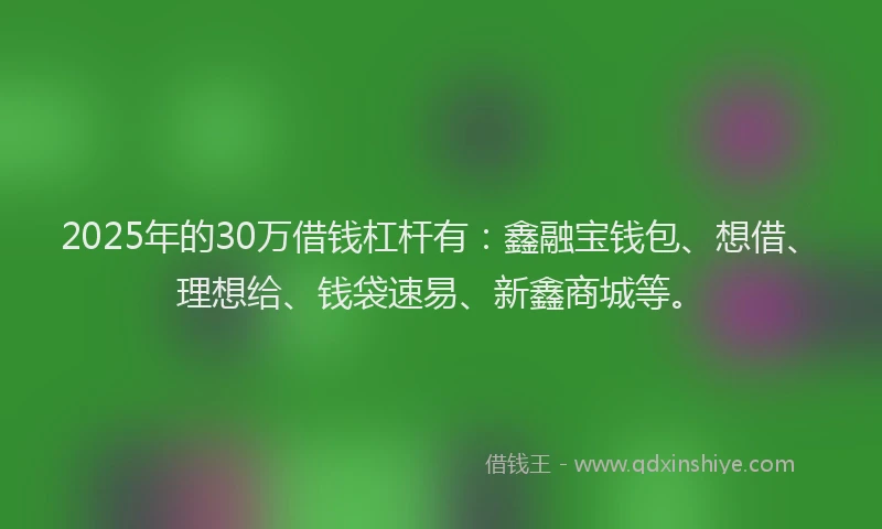 2025年的30万借钱杠杆有：鑫融宝钱包、想借、理想给、钱袋速易、新鑫商城等。