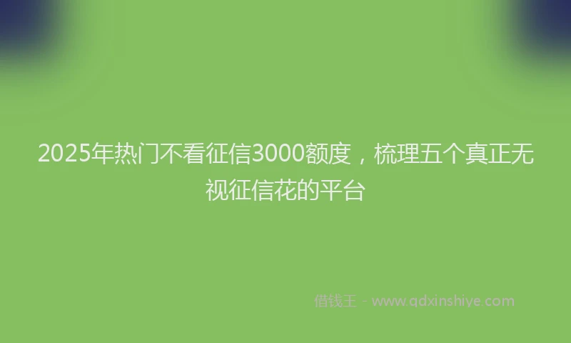 2025年热门不看征信3000额度，梳理五个真正无视征信花的平台