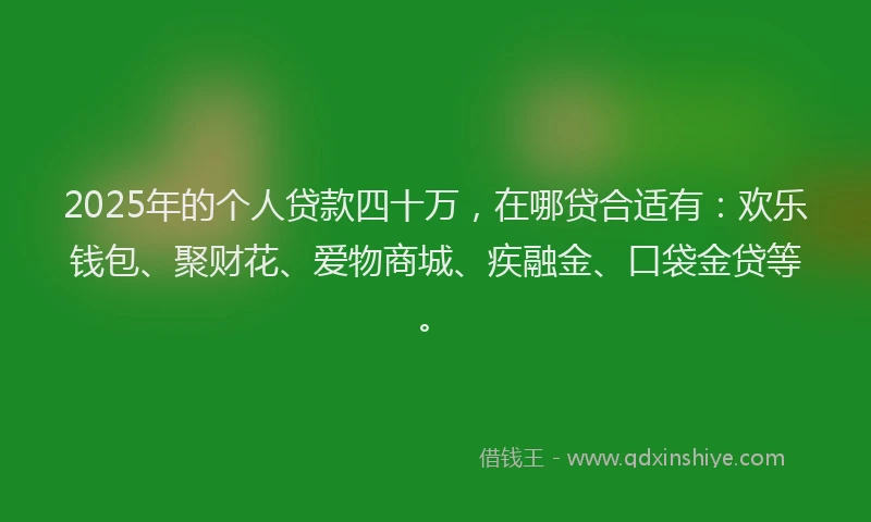2025年的个人贷款四十万，在哪贷合适有：欢乐钱包、聚财花、爱物商城、疾融金、口袋金贷等。