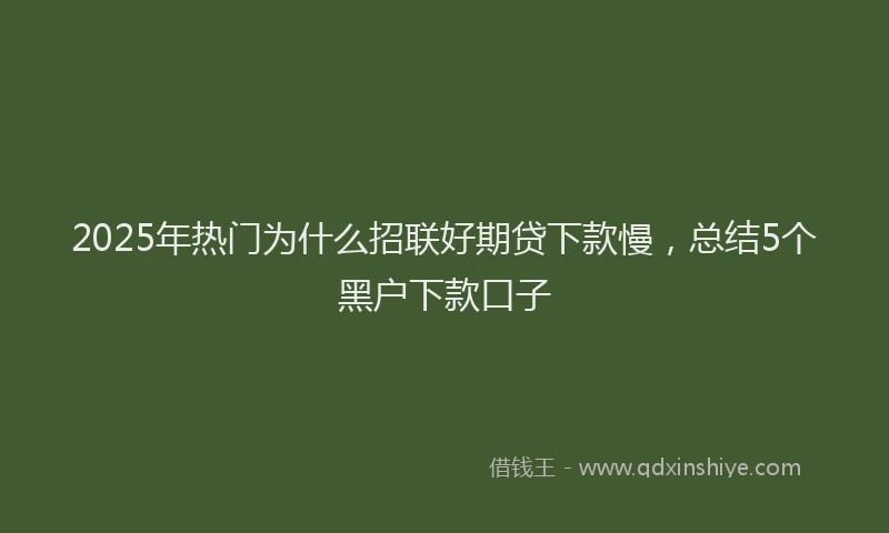 2025年热门为什么招联好期贷下款慢，总结5个黑户下款口子