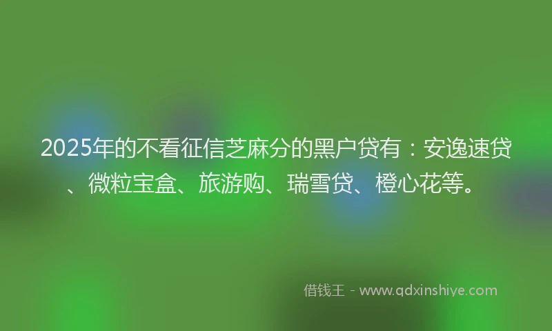 2025年的不看征信芝麻分的黑户贷有：安逸速贷、微粒宝盒、旅游购、瑞雪贷、橙心花等。