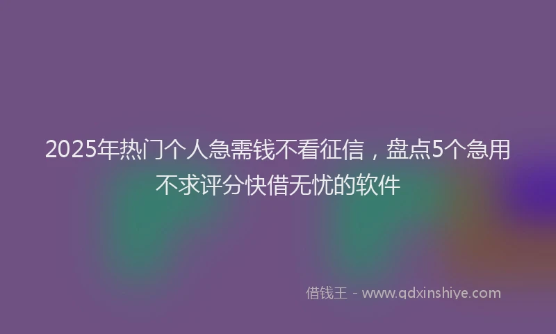 2025年热门个人急需钱不看征信，盘点5个急用不求评分快借无忧的软件