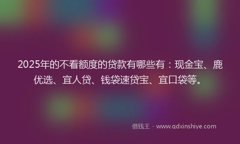 2025年的不看额度的贷款有哪些有：现金宝、鹿优选、宜人贷、钱袋速贷宝、宜口袋等。