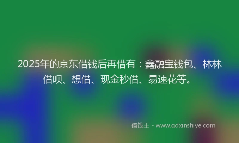 2025年的京东借钱后再借有：鑫融宝钱包、林林借呗、想借、现金秒借、易速花等。