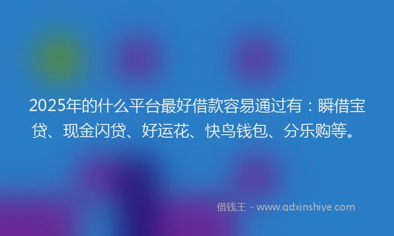2025年的什么平台最好借款容易通过有：瞬借宝贷、现金闪贷、好运花、快鸟钱包、分乐购等。
