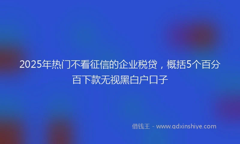 2025年热门不看征信的企业税贷，概括5个百分百下款无视黑白户口子
