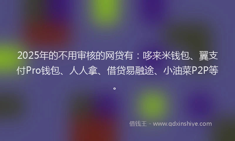 2025年的不用审核的网贷有：哆来米钱包、翼支付Pro钱包、人人拿、借贷易融途、小油菜P2P等。