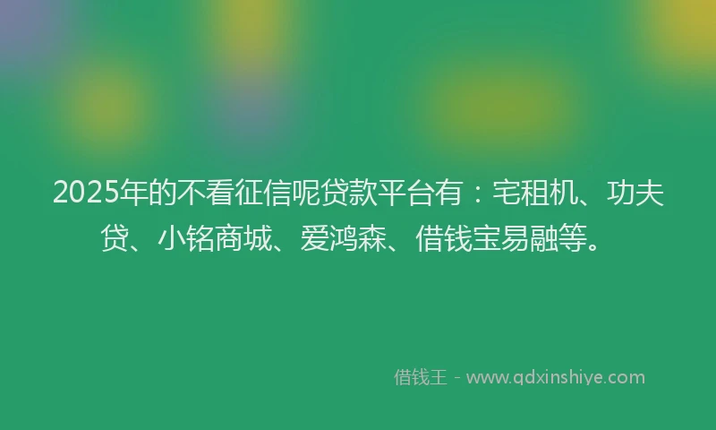 2025年的不看征信呢贷款平台有：宅租机、功夫贷、小铭商城、爱鸿森、借钱宝易融等。