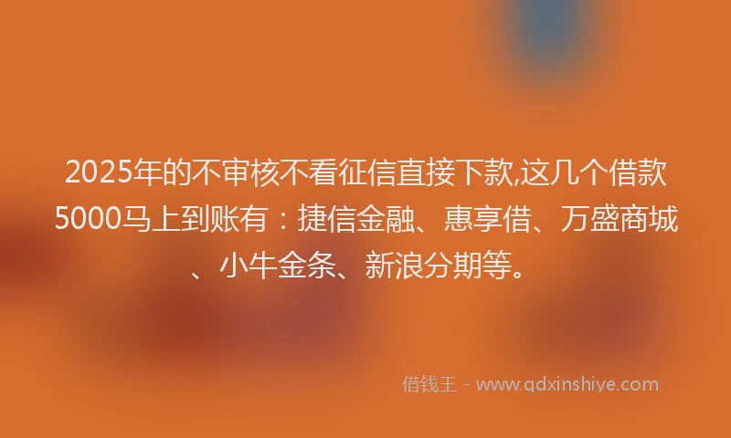 2025年的不审核不看征信直接下款,这几个借款5000马上到账有：捷信金融、惠享借、万盛商城、小牛金条、新浪分期等。