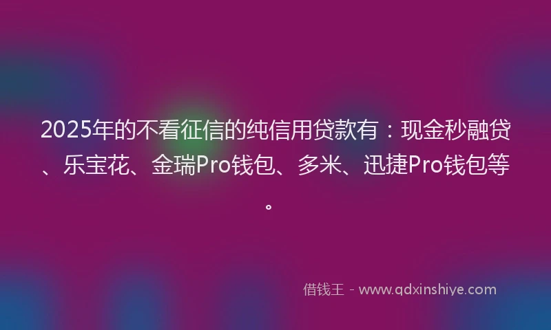 2025年的不看征信的纯信用贷款有：现金秒融贷、乐宝花、金瑞Pro钱包、多米、迅捷Pro钱包等。