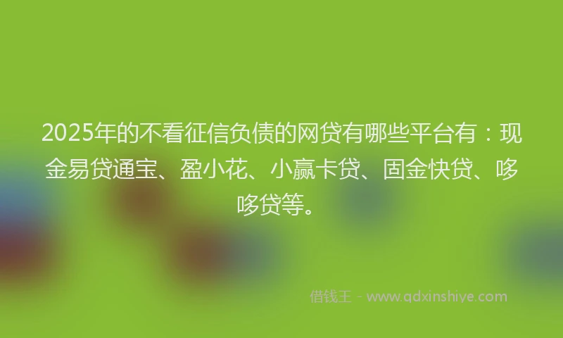 2025年的不看征信负债的网贷有哪些平台有：现金易贷通宝、盈小花、小赢卡贷、固金快贷、哆哆贷等。