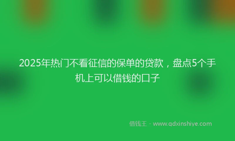 2025年热门不看征信的保单的贷款，盘点5个手机上可以借钱的口子