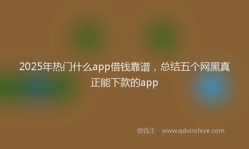 2025年热门什么app借钱靠谱，总结五个网黑真正能下款的app
