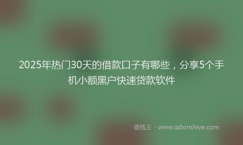2025年热门30天的借款口子有哪些，分享5个手机小额黑户快速贷款软件