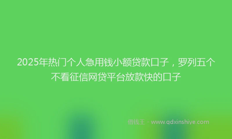 2025年热门个人急用钱小额贷款口子，罗列五个不看征信网贷平台放款快的口子