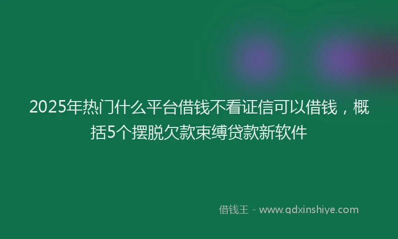 2025年热门什么平台借钱不看证信可以借钱，概括5个摆脱欠款束缚贷款新软件