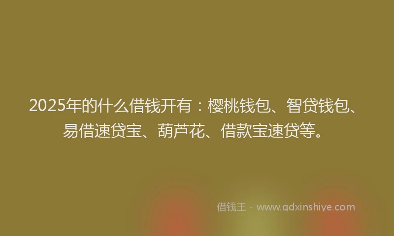 2025年的什么借钱开有：樱桃钱包、智贷钱包、易借速贷宝、葫芦花、借款宝速贷等。