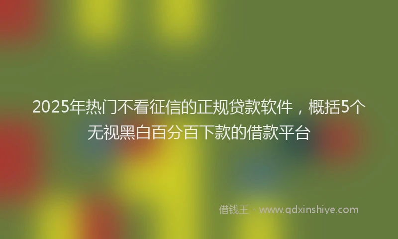 2025年热门不看征信的正规贷款软件，概括5个无视黑白百分百下款的借款平台