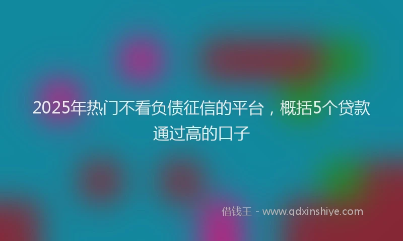 2025年热门不看负债征信的平台，概括5个贷款通过高的口子