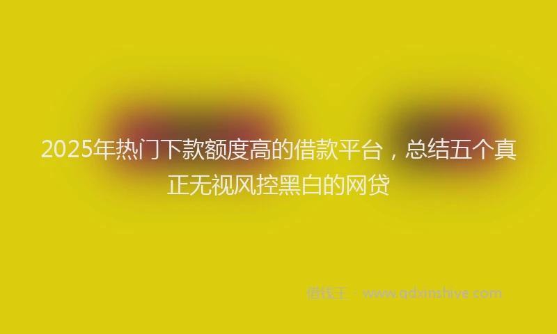 2025年热门下款额度高的借款平台，总结五个真正无视风控黑白的网贷